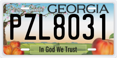 GA license plate PZL8031