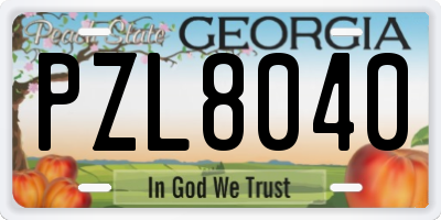 GA license plate PZL8040