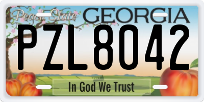 GA license plate PZL8042