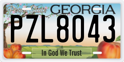 GA license plate PZL8043