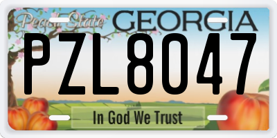 GA license plate PZL8047