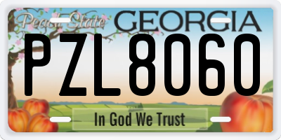 GA license plate PZL8060
