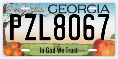 GA license plate PZL8067