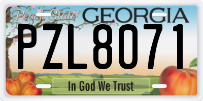 GA license plate PZL8071
