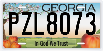 GA license plate PZL8073