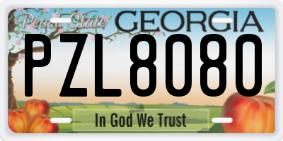 GA license plate PZL8080