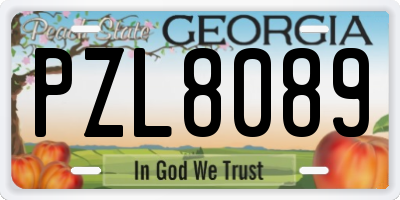 GA license plate PZL8089