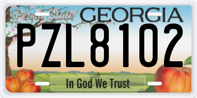 GA license plate PZL8102