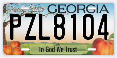 GA license plate PZL8104