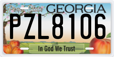 GA license plate PZL8106