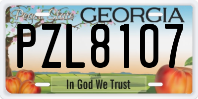 GA license plate PZL8107