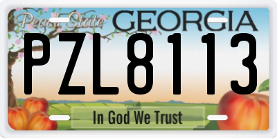 GA license plate PZL8113