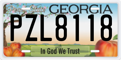GA license plate PZL8118