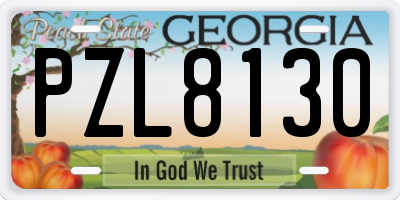 GA license plate PZL8130