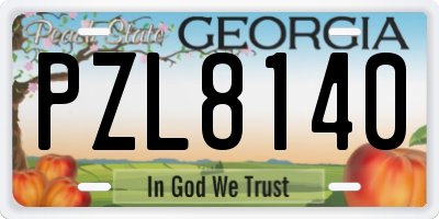GA license plate PZL8140