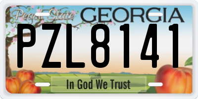 GA license plate PZL8141