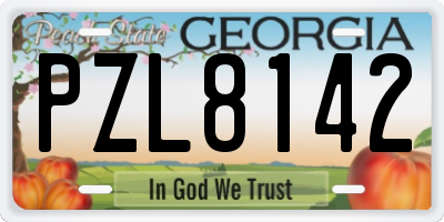 GA license plate PZL8142