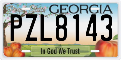 GA license plate PZL8143
