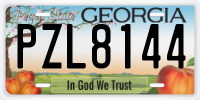 GA license plate PZL8144