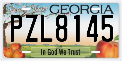 GA license plate PZL8145