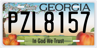 GA license plate PZL8157