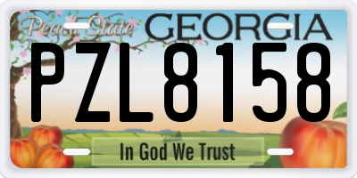 GA license plate PZL8158