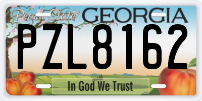 GA license plate PZL8162