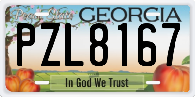 GA license plate PZL8167
