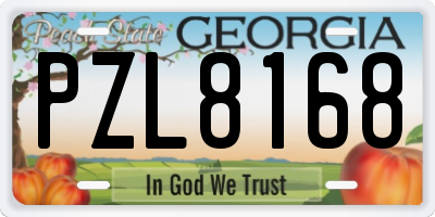 GA license plate PZL8168