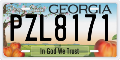 GA license plate PZL8171