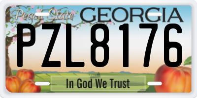 GA license plate PZL8176