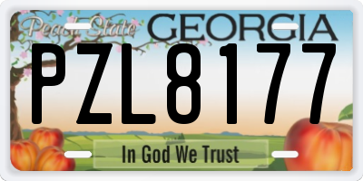 GA license plate PZL8177