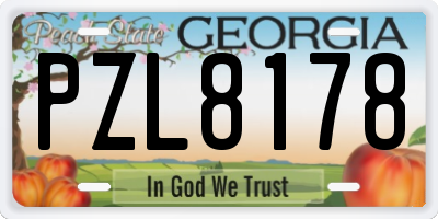 GA license plate PZL8178