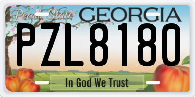 GA license plate PZL8180