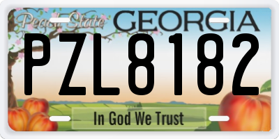 GA license plate PZL8182