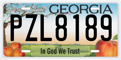 GA license plate PZL8189