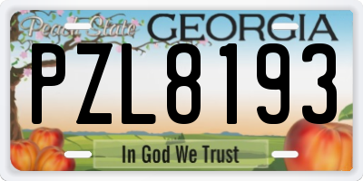 GA license plate PZL8193