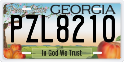 GA license plate PZL8210