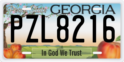GA license plate PZL8216