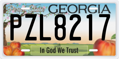 GA license plate PZL8217