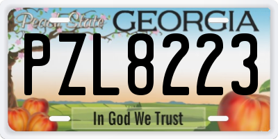 GA license plate PZL8223