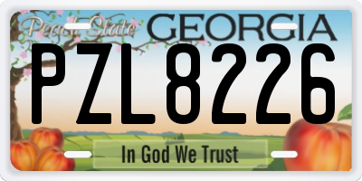 GA license plate PZL8226