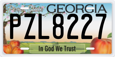 GA license plate PZL8227