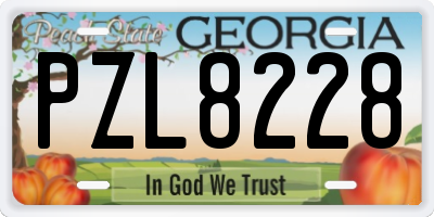 GA license plate PZL8228