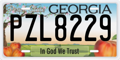 GA license plate PZL8229