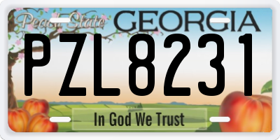 GA license plate PZL8231