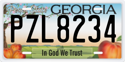 GA license plate PZL8234