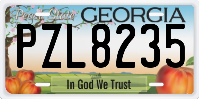 GA license plate PZL8235