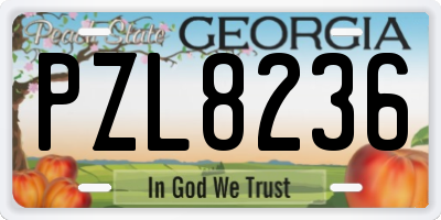 GA license plate PZL8236
