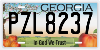 GA license plate PZL8237